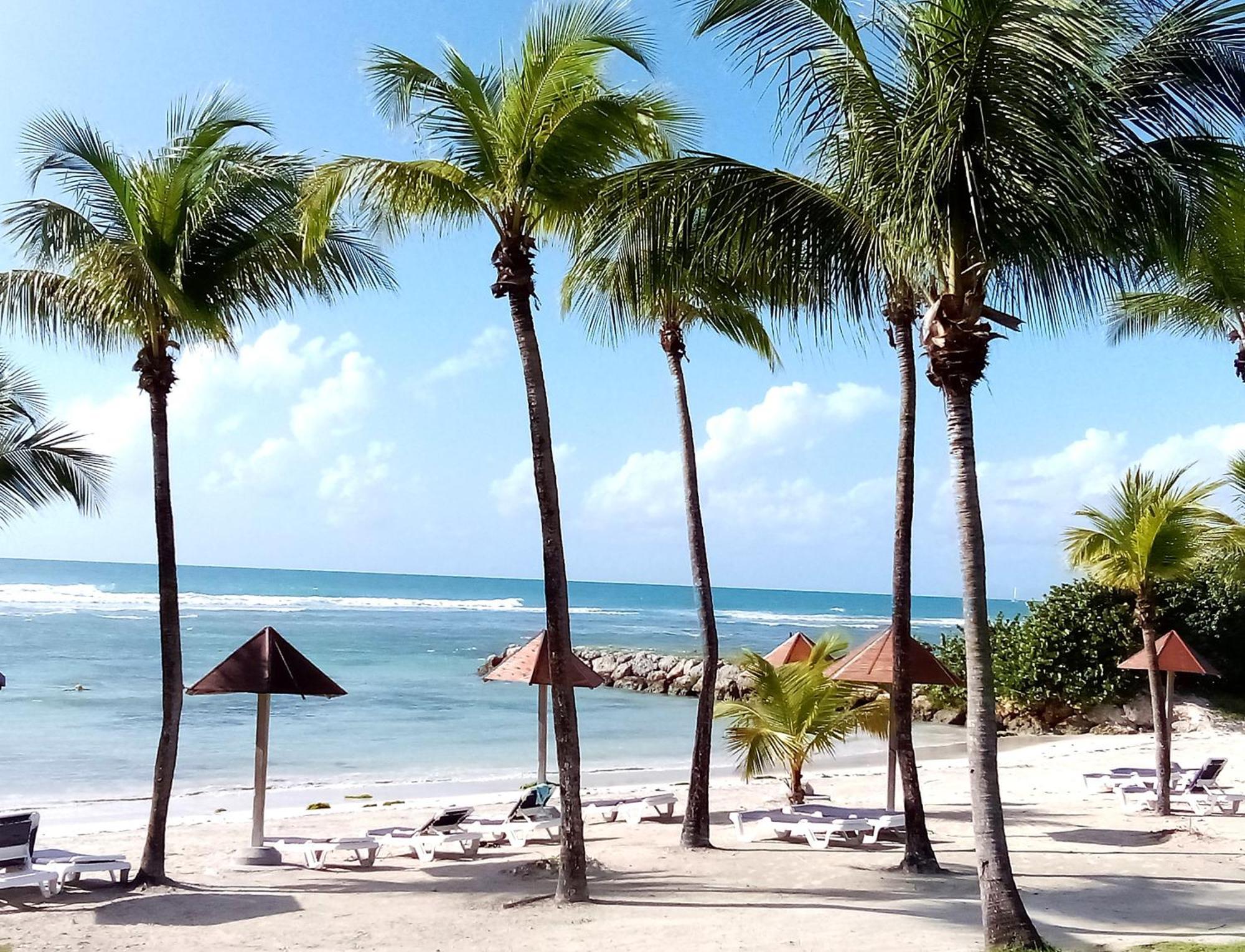 Magnifique Avec Terrasse Coco Appartement Sainte-Anne (Grande-Terre)